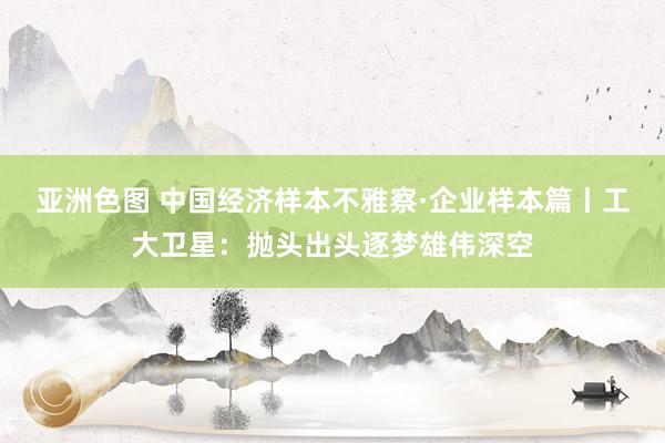 亚洲色图 中国经济样本不雅察·企业样本篇丨工大卫星：抛头出头逐梦雄伟深空