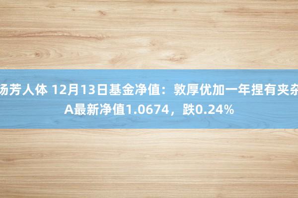 汤芳人体 12月13日基金净值：敦厚优加一年捏有夹杂A最新净值1.0674，跌0.24%