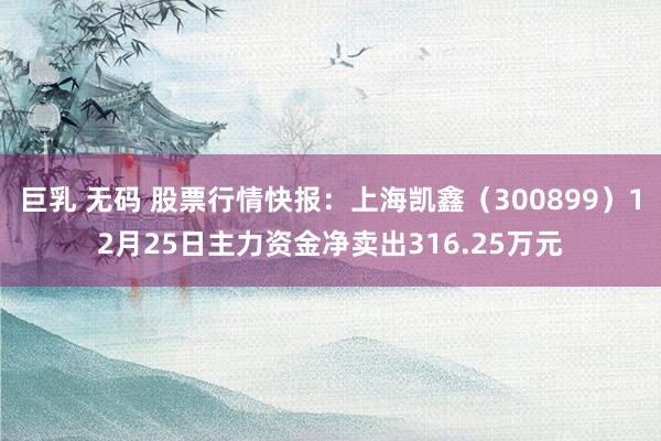巨乳 无码 股票行情快报：上海凯鑫（300899）12月25日主力资金净卖出316.25万元