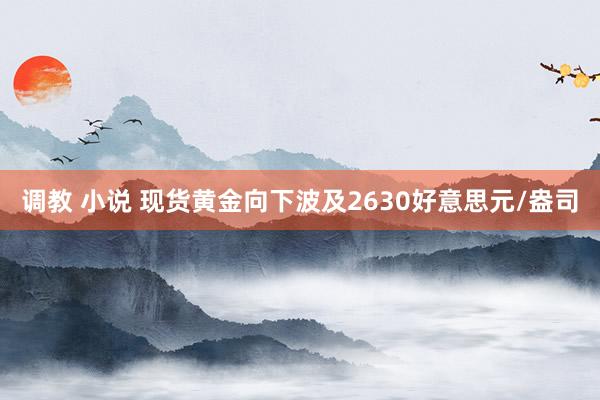 调教 小说 现货黄金向下波及2630好意思元/盎司