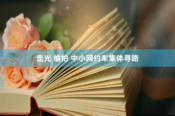 走光 偷拍 中小网约车集体寻路