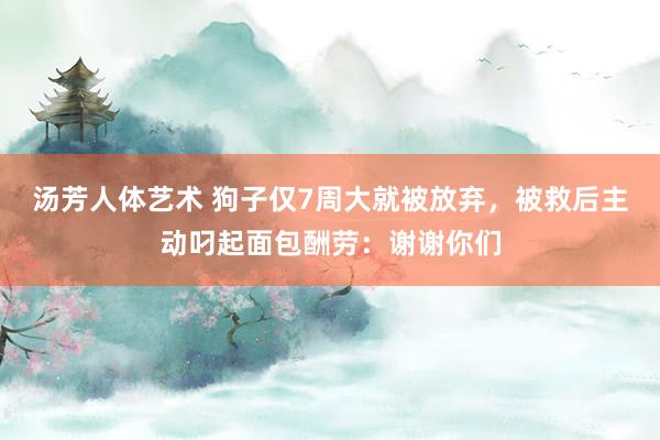 汤芳人体艺术 狗子仅7周大就被放弃，被救后主动叼起面包酬劳：谢谢你们
