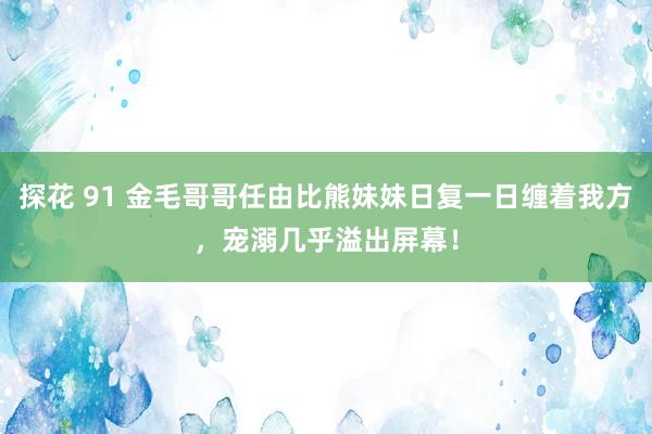探花 91 金毛哥哥任由比熊妹妹日复一日缠着我方，宠溺几乎溢出屏幕！