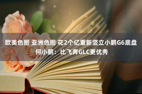 欧美色图 亚洲色图 花2个亿重新竖立小鹏G6底盘 何小鹏：比飞奔GLC更优秀
