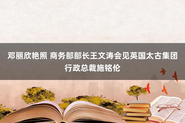 邓丽欣艳照 商务部部长王文涛会见英国太古集团行政总裁施铭伦