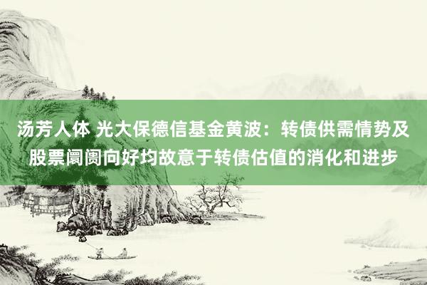 汤芳人体 光大保德信基金黄波：转债供需情势及股票阛阓向好均故意于转债估值的消化和进步