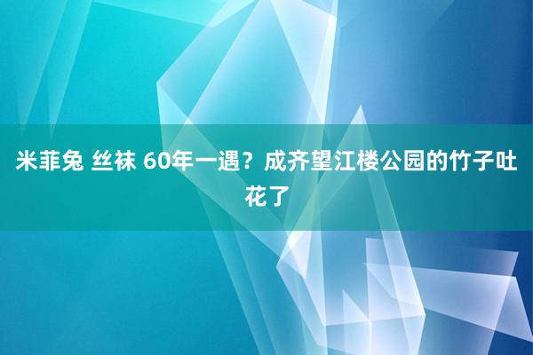 米菲兔 丝袜 60年一遇？成齐望江楼公园的竹子吐花了