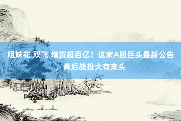 姐妹花 双飞 增资超百亿！这家A股巨头最新公告，背后战投大有来头