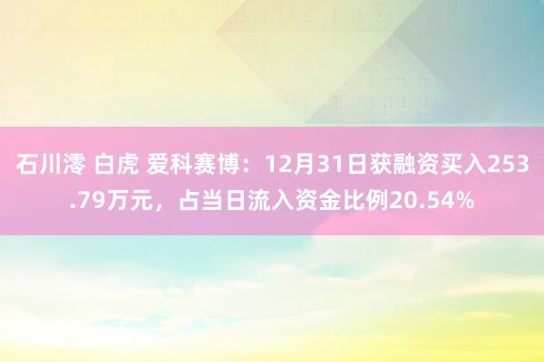 石川澪 白虎 爱科赛博：12月31日获融资买入253.79万元，占当日流入资金比例20.54%