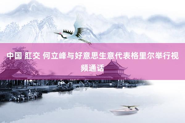 中国 肛交 何立峰与好意思生意代表格里尔举行视频通话