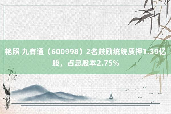 艳照 九有通（600998）2名鼓励统统质押1.39亿股，占总股本2.75%