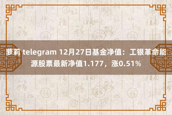 萝莉 telegram 12月27日基金净值：工银革命能源股票最新净值1.177，涨0.51%