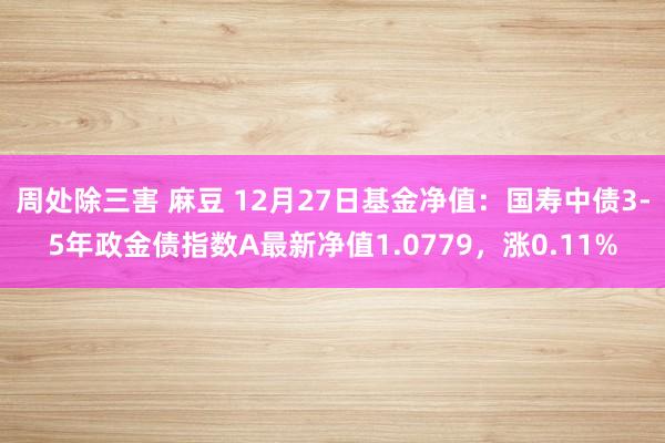 周处除三害 麻豆 12月27日基金净值：国寿中债3-5年政金债指数A最新净值1.0779，涨0.11%