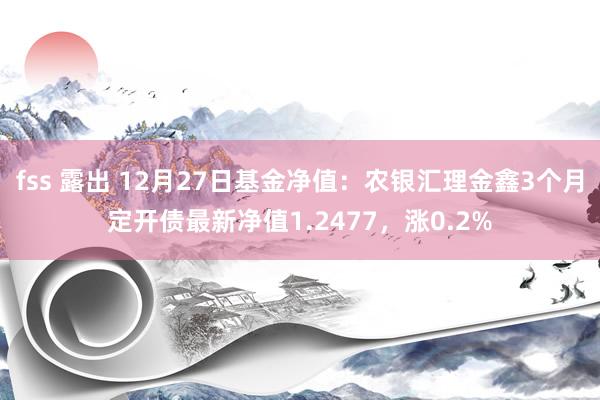 fss 露出 12月27日基金净值：农银汇理金鑫3个月定开债最新净值1.2477，涨0.2%