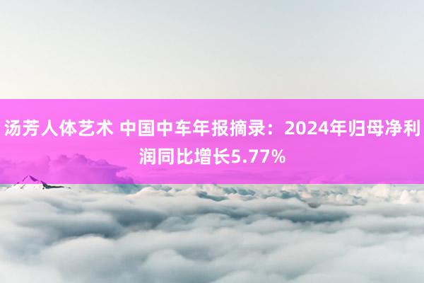汤芳人体艺术 中国中车年报摘录：2024年归母净利润同比增长5.77%
