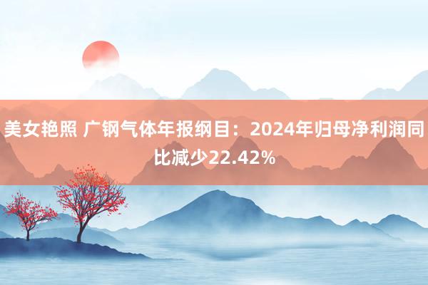 美女艳照 广钢气体年报纲目：2024年归母净利润同比减少22.42%
