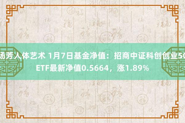 汤芳人体艺术 1月7日基金净值：招商中证科创创业50ETF最新净值0.5664，涨1.89%