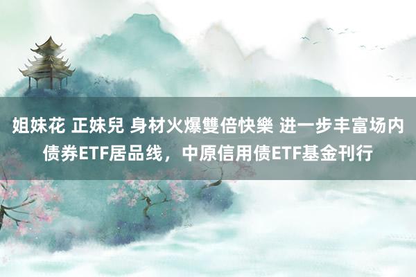 姐妹花 正妹兒 身材火爆雙倍快樂 进一步丰富场内债券ETF居品线，中原信用债ETF基金刊行