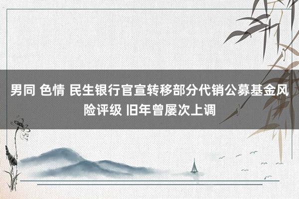 男同 色情 民生银行官宣转移部分代销公募基金风险评级 旧年曾屡次上调