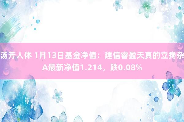 汤芳人体 1月13日基金净值：建信睿盈天真的立搀杂A最新净值1.214，跌0.08%