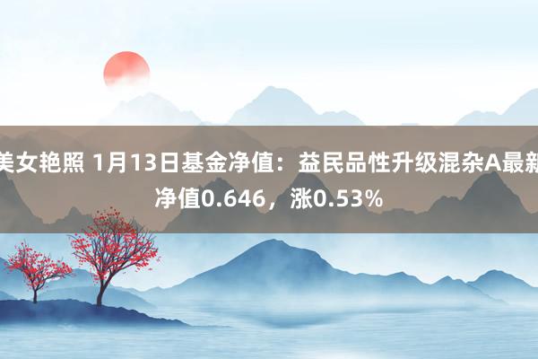 美女艳照 1月13日基金净值：益民品性升级混杂A最新净值0.646，涨0.53%