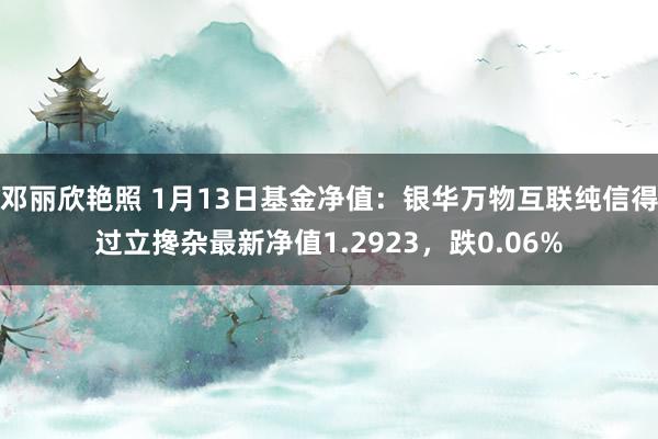 邓丽欣艳照 1月13日基金净值：银华万物互联纯信得过立搀杂最新净值1.2923，跌0.06%