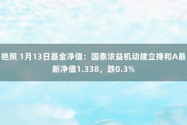 艳照 1月13日基金净值：国泰浓益机动建立搀和A最新净值1.338，跌0.3%
