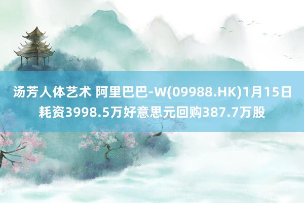 汤芳人体艺术 阿里巴巴-W(09988.HK)1月15日耗资3998.5万好意思元回购387.7万股