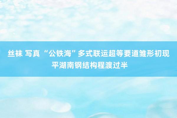 丝袜 写真 “公铁海”多式联运超等要道雏形初现 平湖南钢结构程渡过半