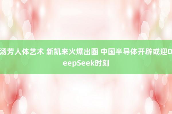 汤芳人体艺术 新凯来火爆出圈 中国半导体开辟或迎DeepSeek时刻