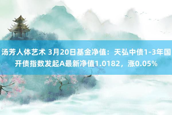 汤芳人体艺术 3月20日基金净值：天弘中债1-3年国开债指数发起A最新净值1.0182，涨0.05%