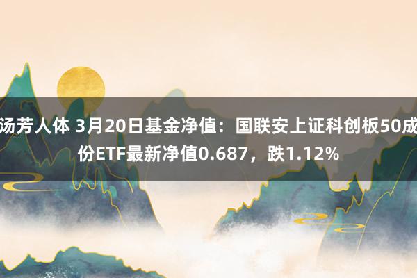 汤芳人体 3月20日基金净值：国联安上证科创板50成份ETF最新净值0.687，跌1.12%