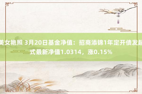 美女艳照 3月20日基金净值：招商添锦1年定开债发起式最新净值1.0314，涨0.15%