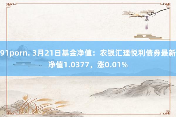 91porn. 3月21日基金净值：农银汇理悦利债券最新净值1.0377，涨0.01%