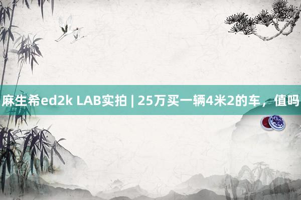 麻生希ed2k LAB实拍 | 25万买一辆4米2的车，值吗