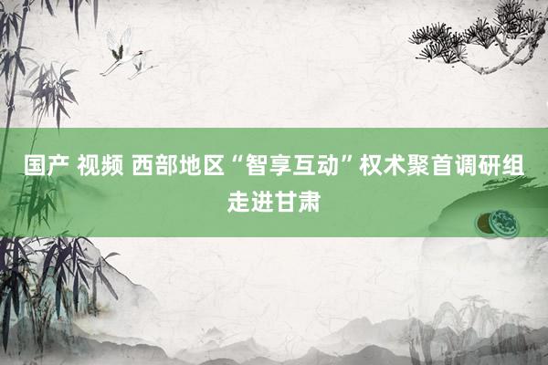 国产 视频 西部地区“智享互动”权术聚首调研组走进甘肃