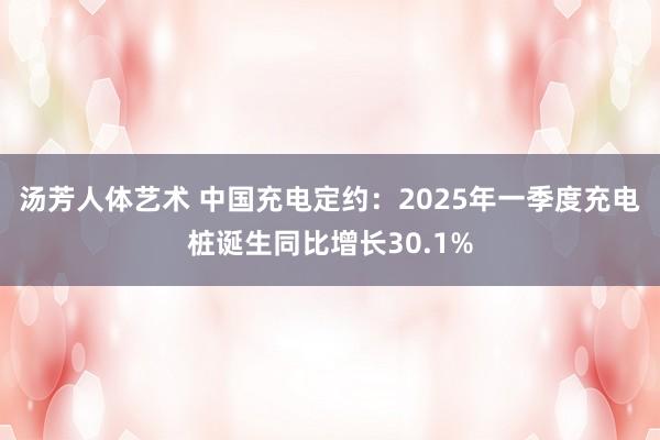 汤芳人体艺术 中国充电定约：2025年一季度充电桩诞生同比增长30.1%