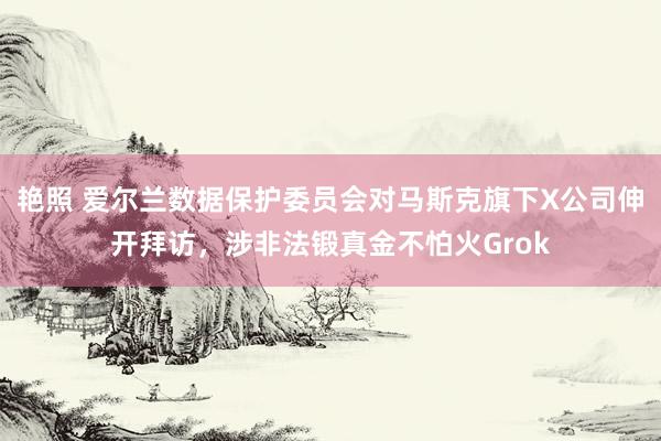 艳照 爱尔兰数据保护委员会对马斯克旗下X公司伸开拜访，涉非法锻真金不怕火Grok