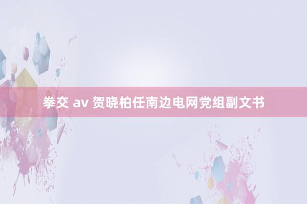 拳交 av 贺晓柏任南边电网党组副文书