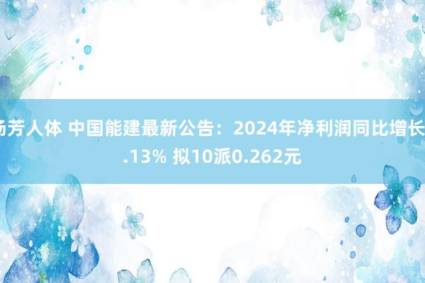 汤芳人体 中国能建最新公告：2024年净利润同比增长5.13% 拟10派0.262元