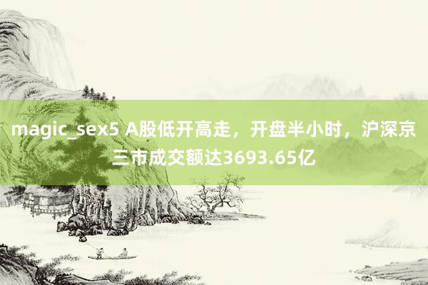 magic_sex5 A股低开高走，开盘半小时，沪深京三市成交额达3693.65亿