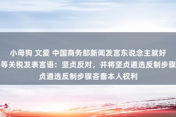 小母狗 文爱 中国商务部新闻发言东说念主就好意思方晓谕平等关税发表言语：坚贞反对，并将坚贞遴选反制步骤吝啬本人权利