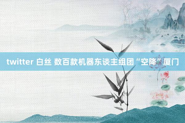 twitter 白丝 数百款机器东谈主组团“空降”厦门