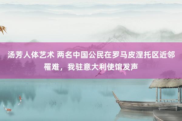 汤芳人体艺术 两名中国公民在罗马皮涅托区近邻罹难，我驻意大利使馆发声