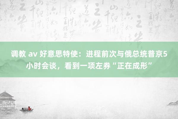 调教 av 好意思特使：进程前次与俄总统普京5小时会谈，看到一项左券“正在成形”