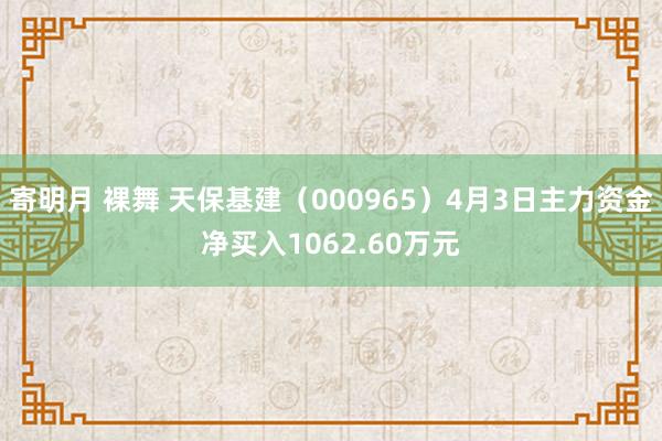 寄明月 裸舞 天保基建（000965）4月3日主力资金净买入1062.60万元
