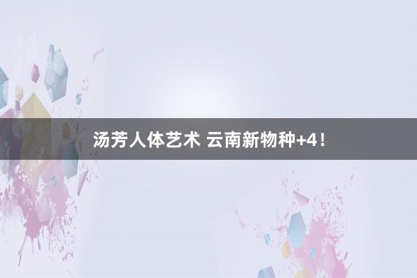 汤芳人体艺术 云南新物种+4！