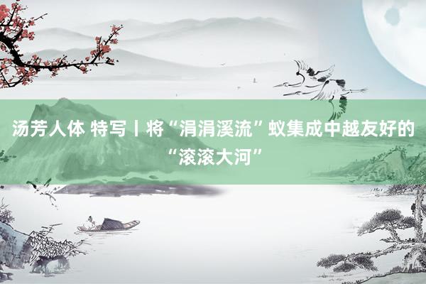汤芳人体 特写丨将“涓涓溪流”蚁集成中越友好的“滚滚大河”