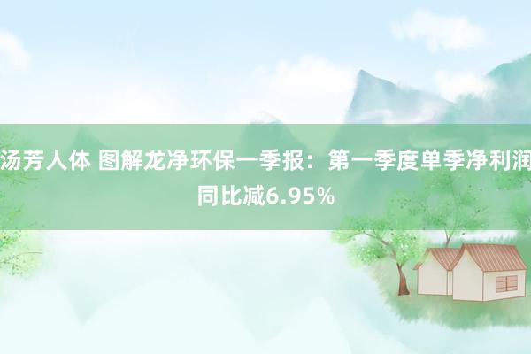 汤芳人体 图解龙净环保一季报：第一季度单季净利润同比减6.95%