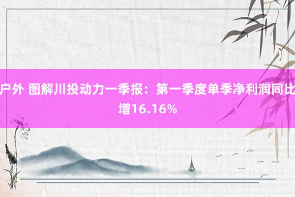 户外 图解川投动力一季报：第一季度单季净利润同比增16.16%
